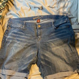 Arizona Jean shorts